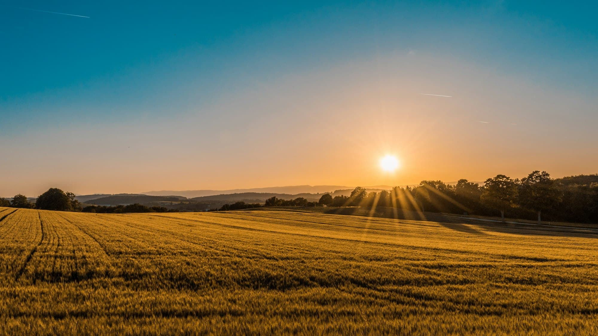 Rolling farmland at sunrise